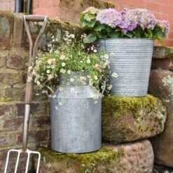 Ivyline Galvanised Milk Churn Plant Pot -Garden and Outdoors 1000165581 alt02