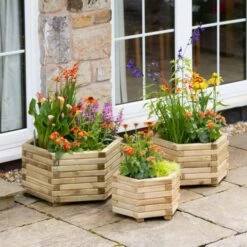 Marford Hexagonal Set Of Three Planters