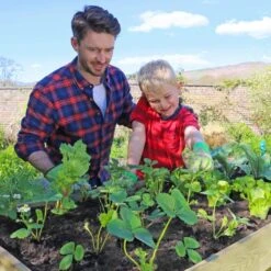 Veg Bed Planter 2m -Garden and Outdoors 30601451 alt05