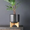 Plain Ceramic Plant Pot On Wooden Stand