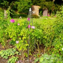 Outdoor Plant Support Tripod Climber -Garden and Outdoors 30849542 alt06