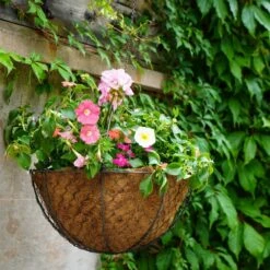 Netted Wire Hanging Basket -Garden and Outdoors 30849601