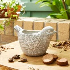 Taylor's Bulbs Stone Robin Plant Pot And Anenone Kit