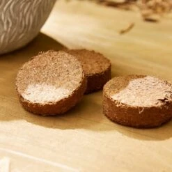 Taylor's Bulbs Stone Robin Plant Pot And Anenone Kit -Garden and Outdoors 30866045 alt02