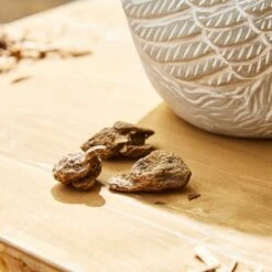 Taylor's Bulbs Stone Robin Plant Pot And Anenone Kit -Garden and Outdoors 30866045 alt04