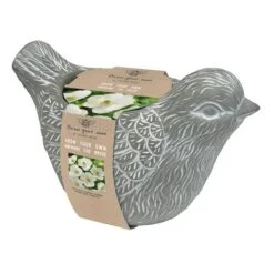 Taylor's Bulbs Stone Robin Plant Pot And Anenone Kit -Garden and Outdoors 30866045 alt05