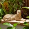 Leopard Indoor Outdoor Ornament