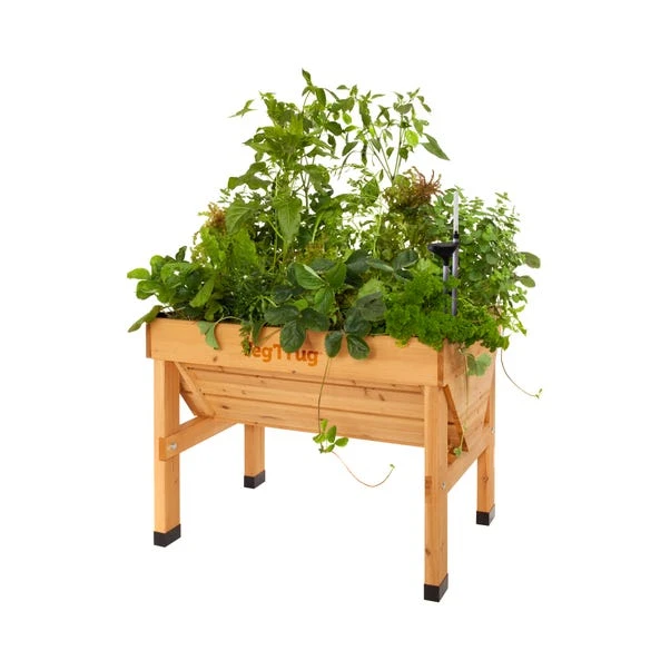 VegTrug Small Classic Self Watering Kit 2 VegTrug Small Classic Self Watering Kit - Image 2