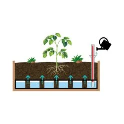 VegTrug Medium Classic Self Watering Kit 7 VegTrug Medium Classic Self Watering Kit -Garden and Outdoors 30890313 alt03
