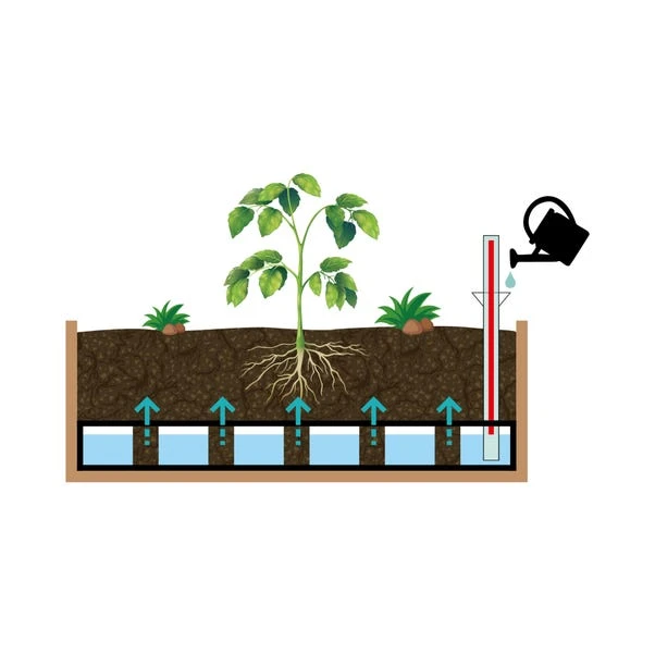 VegTrug Medium Classic Self Watering Kit 4 VegTrug Medium Classic Self Watering Kit - Image 4
