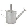 Fallen Fruits 6.6 Litre Old Zinc Watering Can