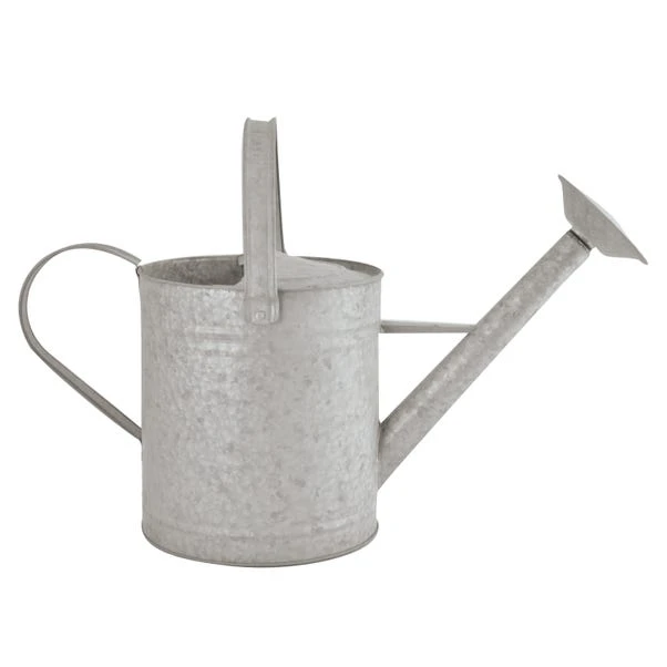 Fallen Fruits 8.7 Litre Old Zinc Watering Can 1 Fallen Fruits 8.7 Litre Old Zinc Watering Can