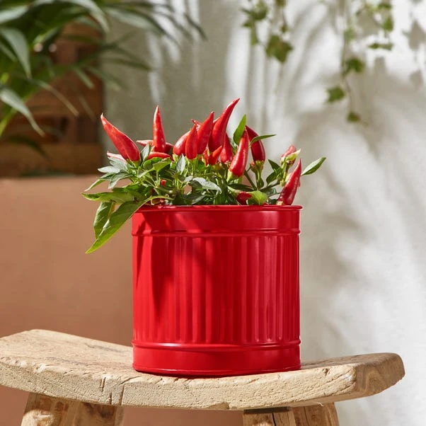 Small Bright Metal Plant Pot 5 Small Bright Metal Plant Pot - Image 5