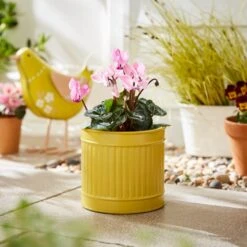 Small Bright Metal Plant Pot 8 Small Bright Metal Plant Pot -Garden and Outdoors 30926676