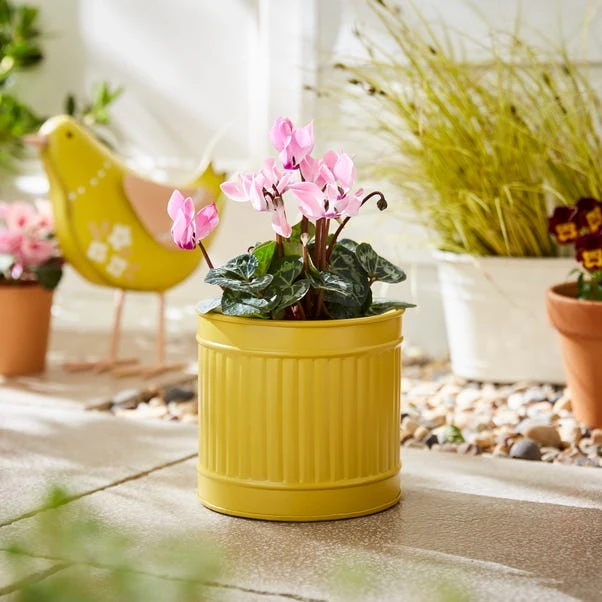 Small Bright Metal Plant Pot 3 Small Bright Metal Plant Pot - Image 3
