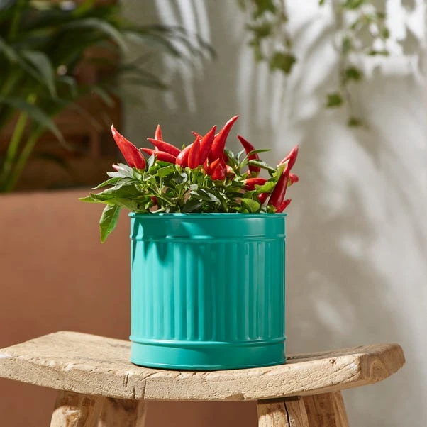 Small Bright Metal Plant Pot 1 Small Bright Metal Plant Pot