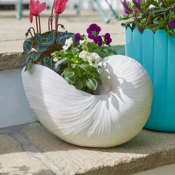 Resin Off White Nautilus Shell Plant Pot 1 Resin Off White Nautilus Shell Plant Pot