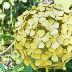 Sophie Robinson Giant Allium Garden Stake -Garden and Outdoors 30933368 alt01