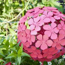 Sophie Robinson Giant Allium Garden Stake -Garden and Outdoors 30933369 alt01