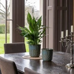 Kew Embossed Fern Plant Pot -Garden and Outdoors 30937045