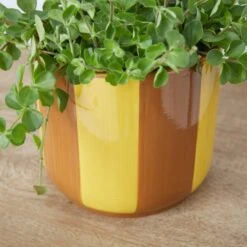 Elements Striped Ceramic Plant Pot -Garden and Outdoors 30943035 alt01