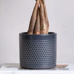 Capri Plant Pot -Garden and Outdoors 30971618 alt01