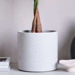 Capri Plant Pot -Garden and Outdoors 30971619 alt01