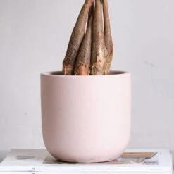 Earthenware Plant Pot -Garden and Outdoors 30971620 alt01