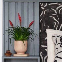 Ribbed Ceramic Plant Pot 14 Ribbed Ceramic Plant Pot -Garden and Outdoors 30971656