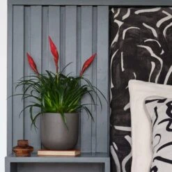 Earthenware Plant Pot -Garden and Outdoors 30971658