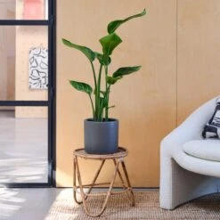 Earthenware Plant Pot -Garden and Outdoors 30971659