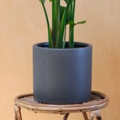 Earthenware Plant Pot -Garden and Outdoors 30971659 alt01