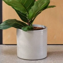Capri Plant Pot -Garden and Outdoors 30971666 alt01