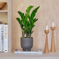 Ribbed Ceramic Plant Pot 12 Ribbed Ceramic Plant Pot -Garden and Outdoors 30971668