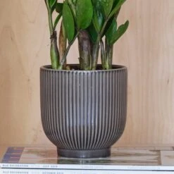 Ribbed Ceramic Plant Pot 13 Ribbed Ceramic Plant Pot -Garden and Outdoors 30971668 alt01