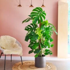 Earthenware Plant Pot -Garden and Outdoors 30971675