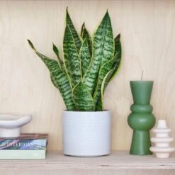 Capri Plant Pot -Garden and Outdoors 30971682