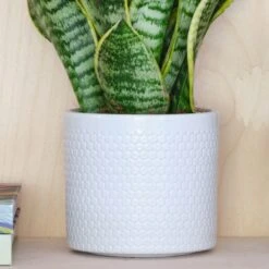 Capri Plant Pot -Garden and Outdoors 30971682 alt01