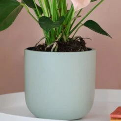 Earthenware Plant Pot -Garden and Outdoors 30971684 alt01
