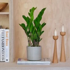 Capri Plant Pot -Garden and Outdoors 30971685