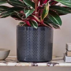 Capri Plant Pot -Garden and Outdoors 30971686 alt01