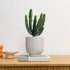Ribbed Ceramic Plant Pot