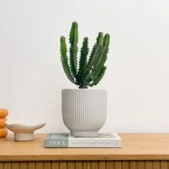 Ribbed Ceramic Plant Pot