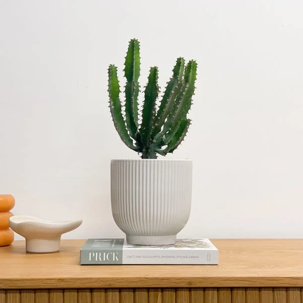 Ribbed Ceramic Plant Pot 1 Ribbed Ceramic Plant Pot
