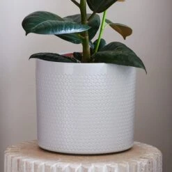 Capri Plant Pot -Garden and Outdoors 30971692 alt01