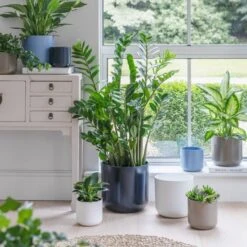 Lisbon Ceramic Plant Pot -Garden and Outdoors 30976778 alt09