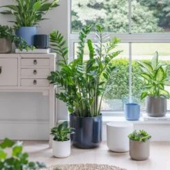 Lisbon Ceramic Plant Pot -Garden and Outdoors 30976826 alt09